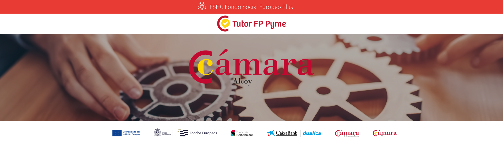 La Cámara de Comercio de Alcoy impulsa la incorporación de pymes a la Formación Profesional a través del programa Apoyo al Tutor de Pyme