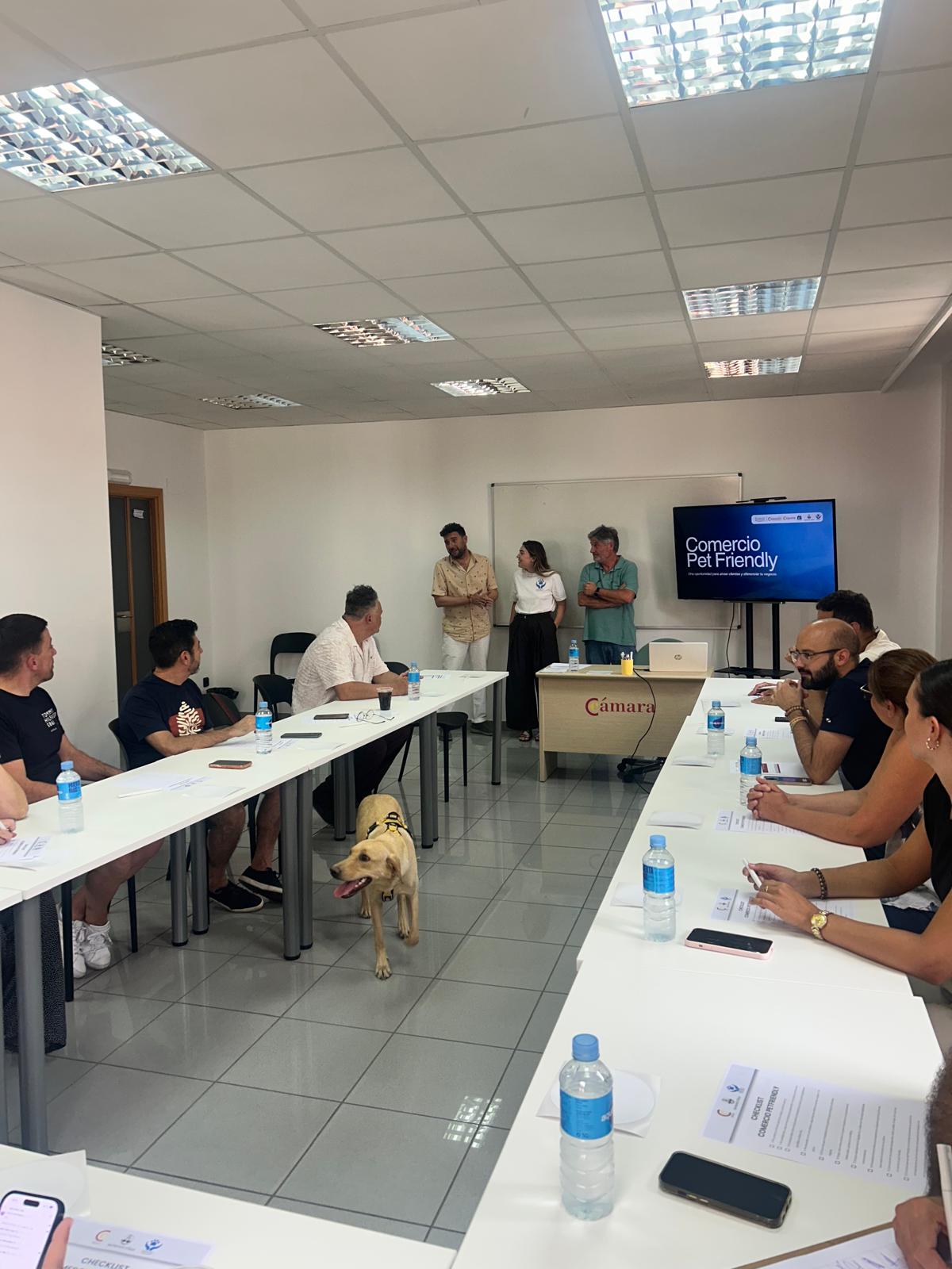 El comercio de Alcoy avanza hacia un modelo más Pet Friendly